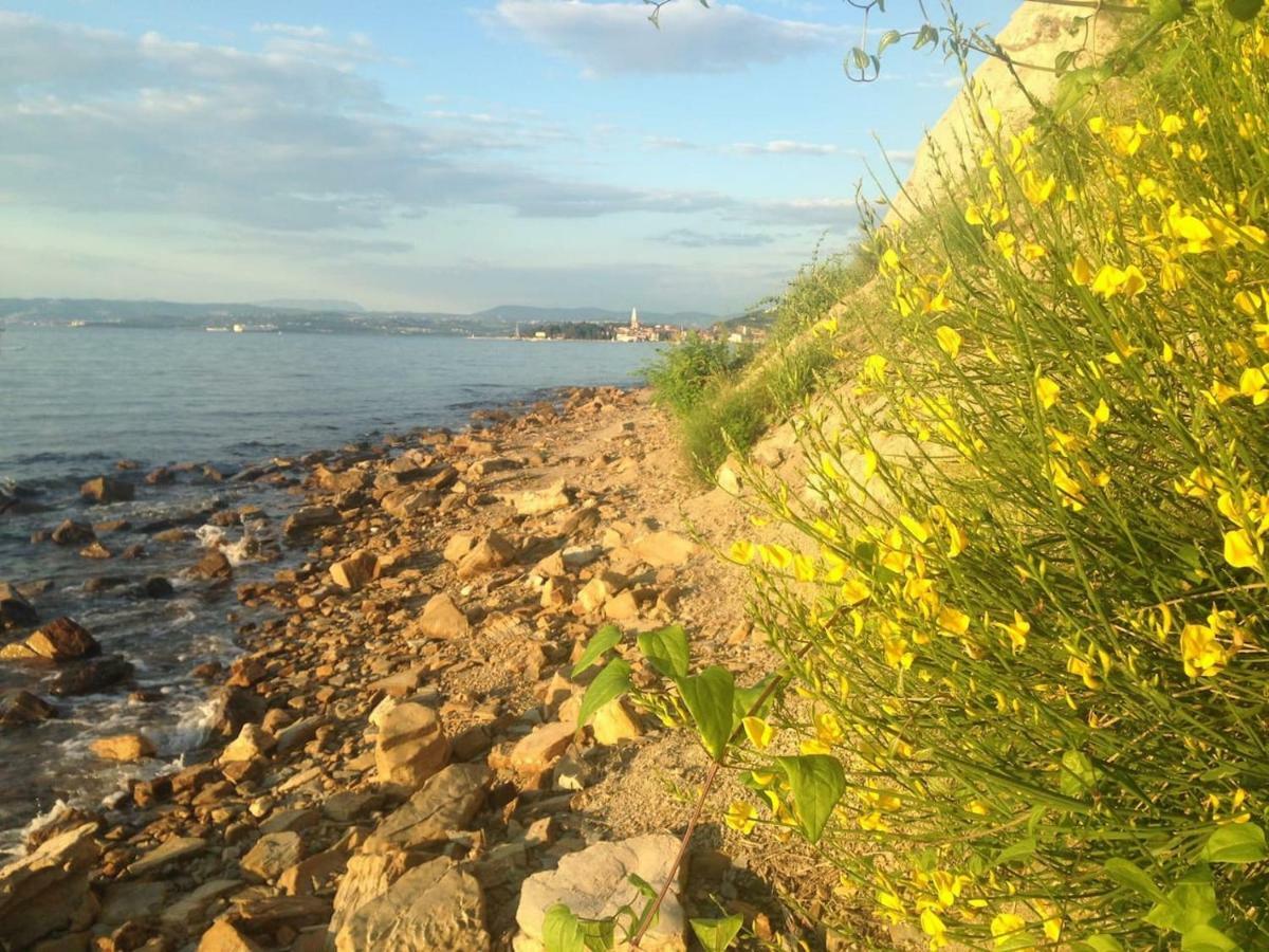 Apartma Ada Izola Εξωτερικό φωτογραφία